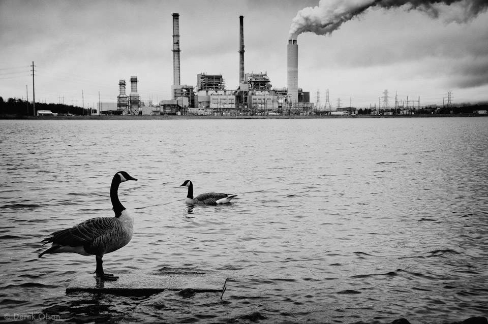 photojournalism